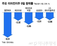 '허니문 랠리'라는데 이차전지주 또 '와르르'…엘앤에프 장 중 12% ↓