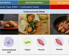 "식물·세포로 고기 만든다"…탄력받은 대체육·배양육 연구, 한국은?