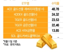 金값 하반기에도 뛴다…현물부터 커버드콜까지 어떤 ETF 투자할까?