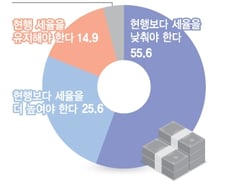 "상속세율 낮춰주세요"… 20대가 가장 강하게 요구했다