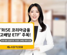 RISE 코리아금융고배당 ETF, 3개월 수익률 28%…고배당株 주목