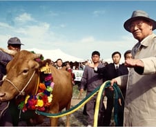 1001마리 소떼와 83세 정주영…휴전선 활짝 열린 영화 같은 장면[뉴스속오늘]