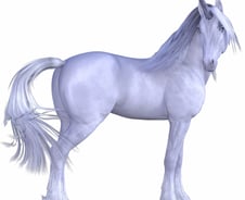 "거기도? 여기도 나왔어"…한 달 간 5개 유니콘 탄생에 들뜬 유럽