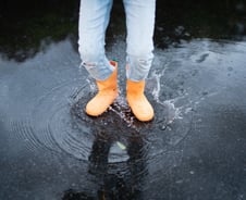 장마철만 되면…"무릎이 시큰, 내일 비 오겠네" 이 말 사실일까?