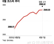 3000피 코앞에 두고 후퇴…중동 불안에 숨고르기 장세 이어질까