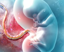 임신부 놀랄 연구결과…초미세먼지 심한 날 "태아 모세혈관 내부 손상"