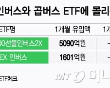 "설마 3000피 가겠어?"…인버스·곱버스에 6691억 몰렸다