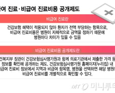 [단독]심평원, 다빈도 비급여 진료비 지역별·종별 공개 추진