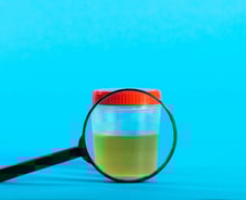 약도 못 고친다는데…투석 환자 절반이 앓는 '이 병', 치료 길 찾았다