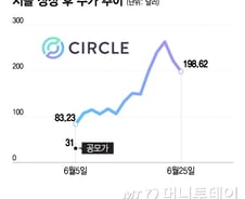 "8.5배 폭등하다가 급락" 서클 상승세 꺾이자…급등한 이곳[오미주]