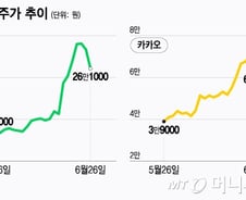 쭉쭉 오르더니 9% '뚝'…"네카오 주가 반전될 것" 경고 들어맞았다