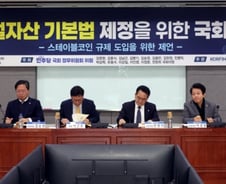 [우보세]원화 스테이블코인 열풍의 명암