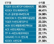 SK하닉 신고가 찍자 '수익률 50%'…"앞으로 더 좋다" 함께 웃는 ETF
