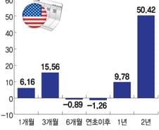 "결국 정답은 미국?"…2조 몰린 美 펀드 수익률도 15%
