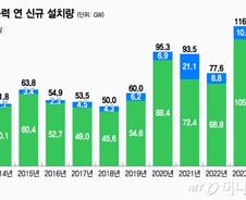 '역풍'에도 풍력 증가량 사상 최대…중국이 주도