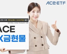 ACE KRX금현물 ETF, 올해 개인 순매수 3000억 돌파