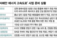 "12조 시장 열린다"…국내 전력 업계 준비 '총력'
