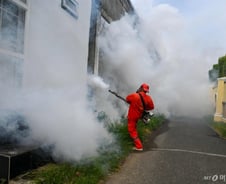 동남아 갔다가 의식 잃을라…"이 감염병, 현지 유행 중"