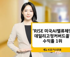 RISE 미국AI밸류체인데일리고정커버드콜, 같은 유형 수익률 1위