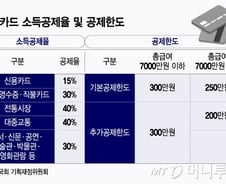 [단독]'이재명표 지역화폐' 소득공제 확대?…30%→최대 80% 상향 추진