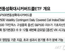 [단독]증시 불안할 때 오히려 추가수익 얻는 커버드콜 ETF 나온다