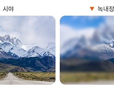 정상 시야 vs 녹내장 환자의 시야…혹시 나도 이렇게?