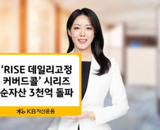RISE 데일리고정커버드콜 ETF 시리즈 순자산 3000억 돌파