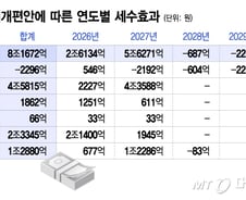 '정상화'로 포장된 '홍길동 증세'…기업·개미 세금 8조 더 걷는다