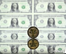 규제 '노란불'에도 테더 확장일로…퇴출이냐 존속이냐