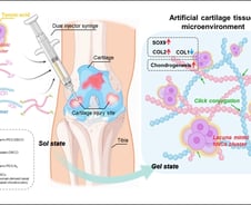 "코 세포로 연골 만든다"…무릎 손상, 퇴행성 관절염 새 치료법 나올까
