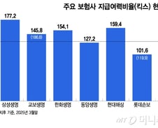 [단독]자산-부채 관리 못한 보험사, 장기보험 판매 못한다