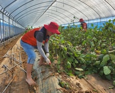 '1만7434시간' 자원봉사계의 전설… "봉사로 큰 행복 느껴요"