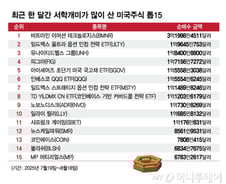 "한몫 잡자" 코인주 달려든 서학개미…레버리지 함정 도사린다