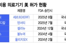 국산 RF 미용 의료기기 美 진출 러시…관세 리스크 대응책은 과제로