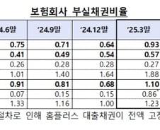 "홈플러스 여파에" 보험사 부실채권비율 '사상 최고'…연체율도 급등