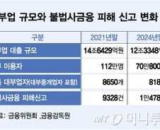 [단독]"대부업 줄어드니, 불법사금융 증가?"…파악 나서는 금감원
