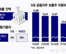 [단독]'생산적 금융'위한 위험가중치 상향, 신규 주담대만 적용한다