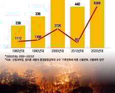 캘리포니아 얘기가 아니다…한반도 여름산불 '뉴노멀' 된다