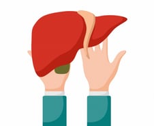 술 중독돼 간 이식받고도 55%가 재음주…"수술 후 환자 관리 시급"