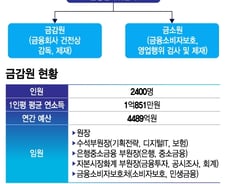 [단독]신설 금소원, 부원장보 3명에 1000명 이내..인력교류 '관건'