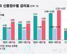 [단독]"최저신용자가 1등급보다 금리 낮다"...카뱅에 나타난 기현상