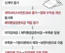 신계약 늘릴수록 가난해진다? 보험사 재무 흔드는 역설