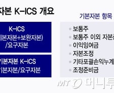 유럽+캐나다 절충한 '한국형 규제'…"일관성 필요"