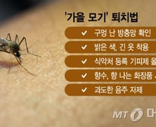 '윙윙' 잠 깨우는 더 독한 놈 왔다…가을 모기 안 물리는 법 [1분 생활백서]