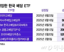 "新정부 수혜주는 배당주" ETF 잇달아 상장…순자산 4조 이상 ↑