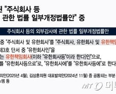국내 투자 위축 막으려면…"외감 의무화, 정교해야"