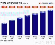 여야 법안발의 통했지만...MBK·아디다스 회계 감시법 올해도 무산