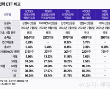 AI가 연 전력 투자 시대…한국·미국 어디 투자하지?[ETFvsETF]