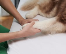 '포스텍의 세포들' 일냈다...치료 효과 높이고, 비용은 줄인 신기술