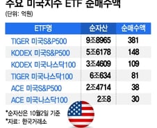 "연휴 끝나길 기다려"…개미들 수백억어치 마구 사들인 ETF 뭐길래